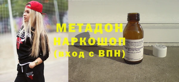прущие грибы Лабытнанги