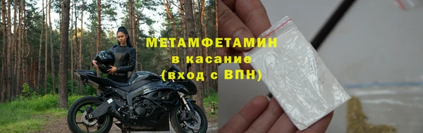 прущие грибы Лабытнанги