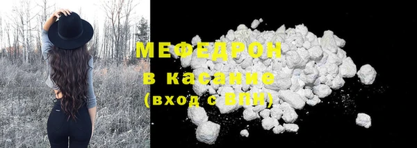 прущие грибы Лабытнанги