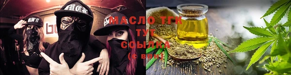 прущие грибы Лабытнанги