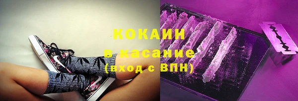 прущие грибы Лабытнанги