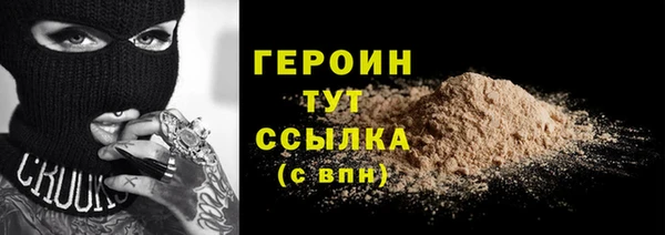 прущие грибы Лабытнанги