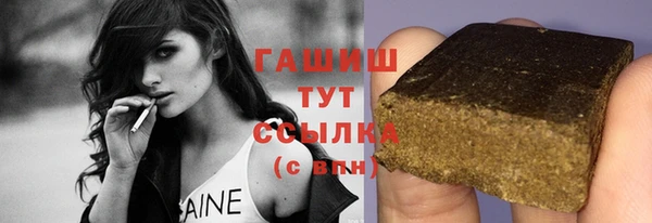 прущие грибы Лабытнанги