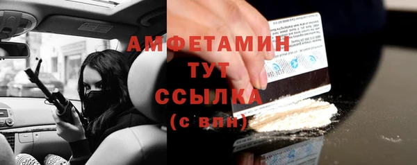 прущие грибы Лабытнанги