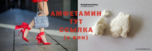 прущие грибы Лабытнанги