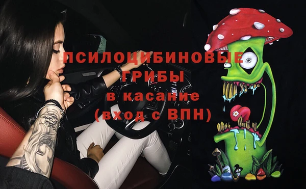 индика Уссурийск