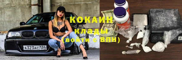 прущие грибы Лабытнанги