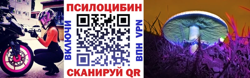 Псилоцибиновые грибы GOLDEN TEACHER Урус-Мартан