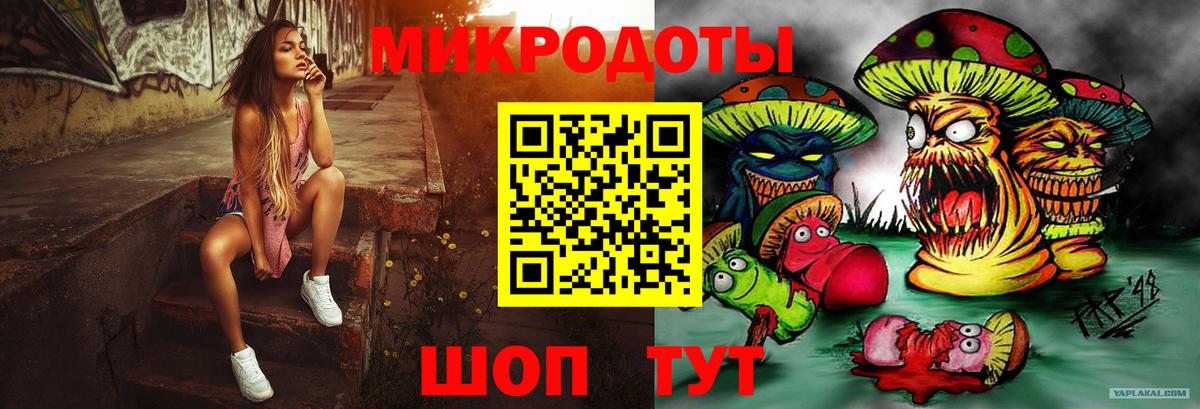 Псилоцибиновые грибы Psilocybe Урус-Мартан