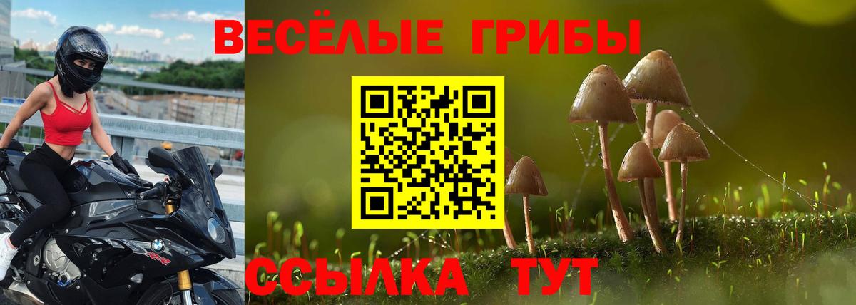 Псилоцибиновые грибы Cubensis  Вход с VPN  Урус-Мартан 