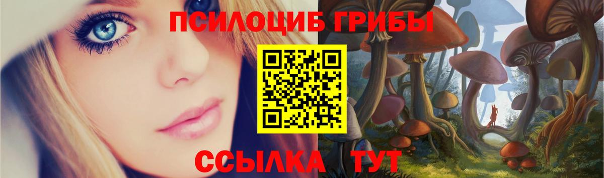 Псилоцибиновые грибы Cubensis Урус-Мартан